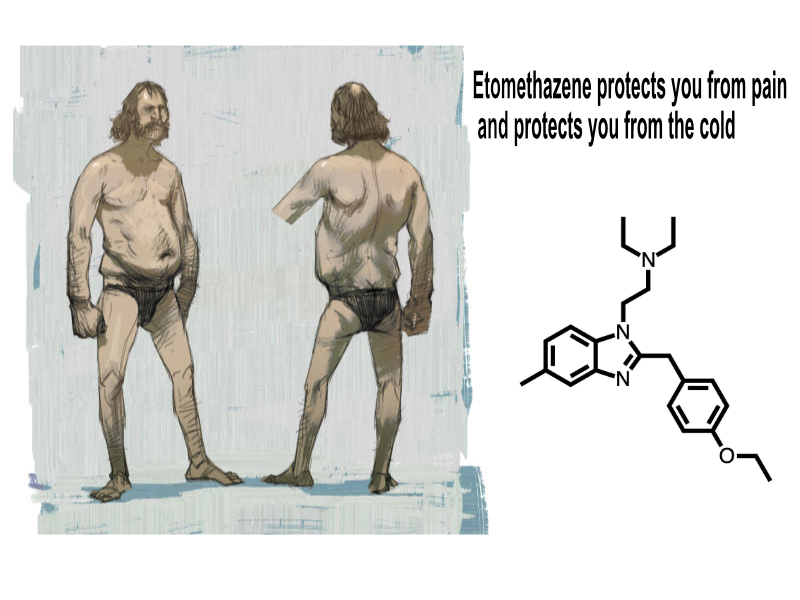 You are currently viewing Etomethazene protects against pain.